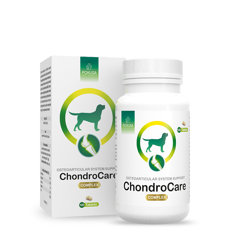 Pokusa Chondroline Chondrocare 120tabs