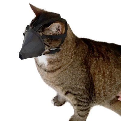 Kruuse Buster Cat Nylon Muzzle One Size