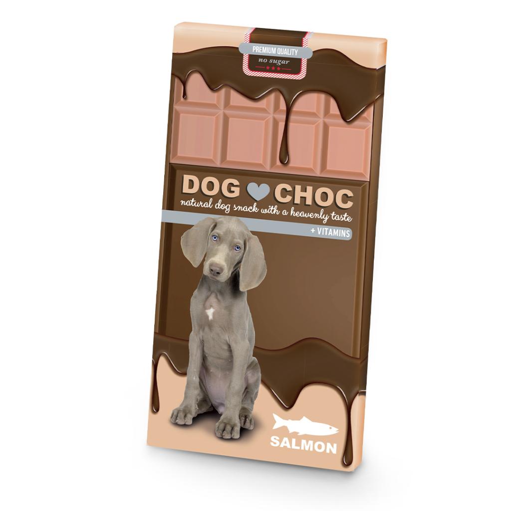 Duvo Dog Chocolate Salmon 100g