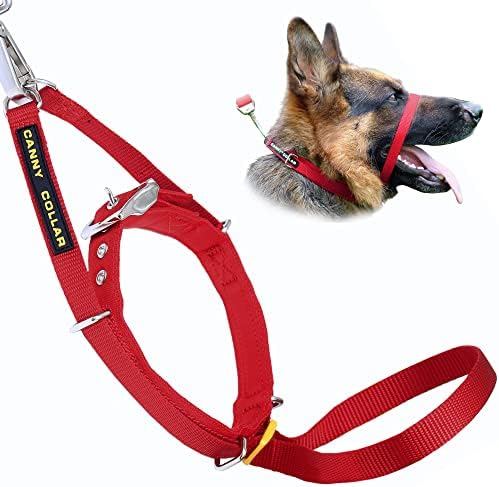 Canny Collar Size 4 Red