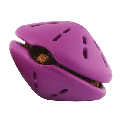 Premier Busy Buddy Twist&Treat Large