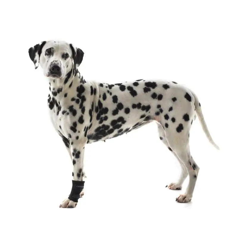 Kruuse Rehab Carpal Protector L