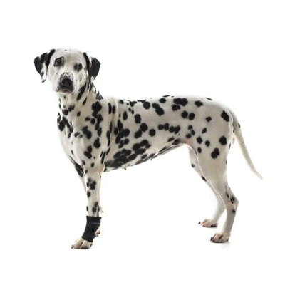 Kruuse Rehab Carpal Protector L