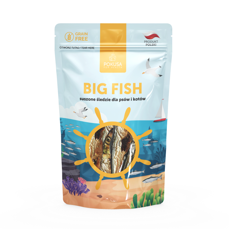 Pokusa Ocean Line Big Fish 40g
