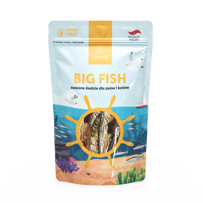 Pokusa Ocean Line Big Fish 40g