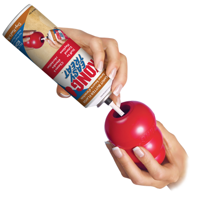Kong Easy Treat Cheddar Cheese XS9E