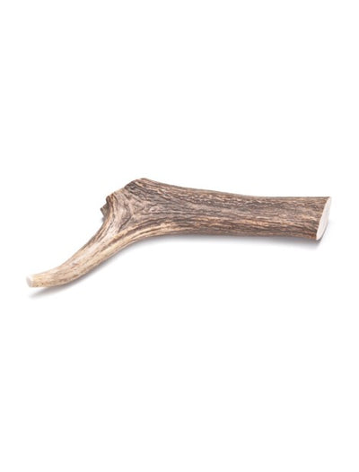 Mast Orazio Butcher Antler Medium 50g-70g