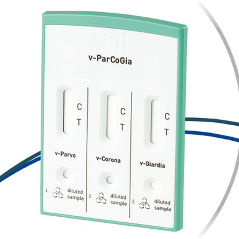 Scilvet Par Co Gia Test