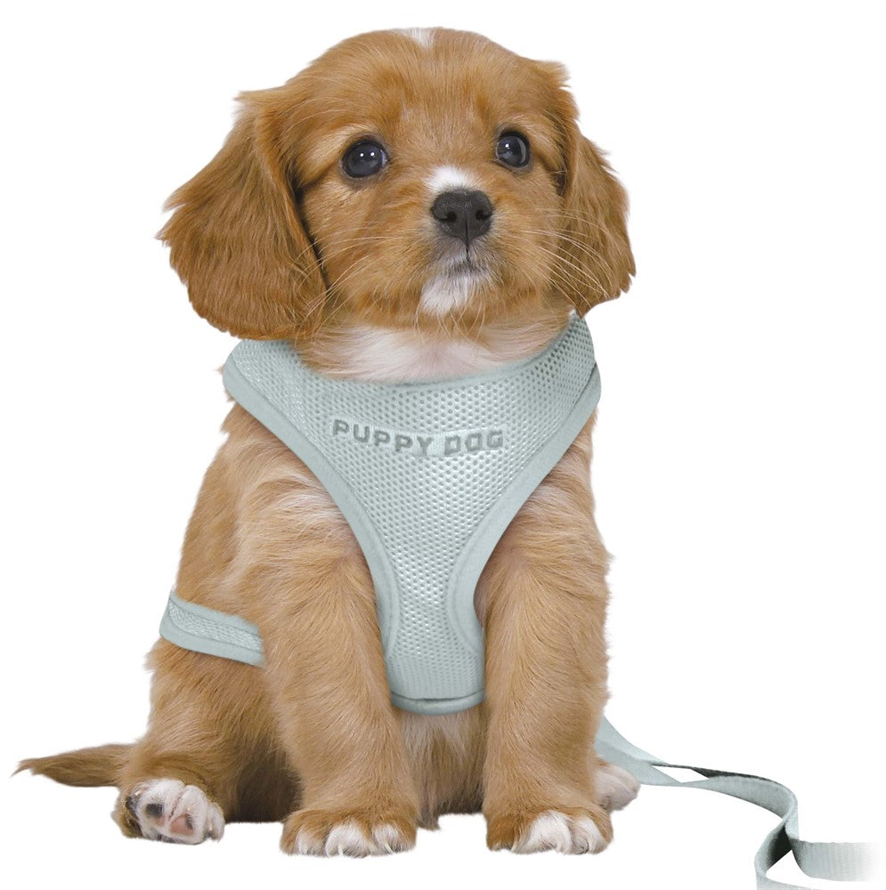 Trixie Junior Soft Harness M-L 10mm 2mt Turquoise