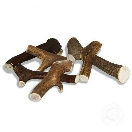 Mast Orazio Butcher Antler Large 76-150g