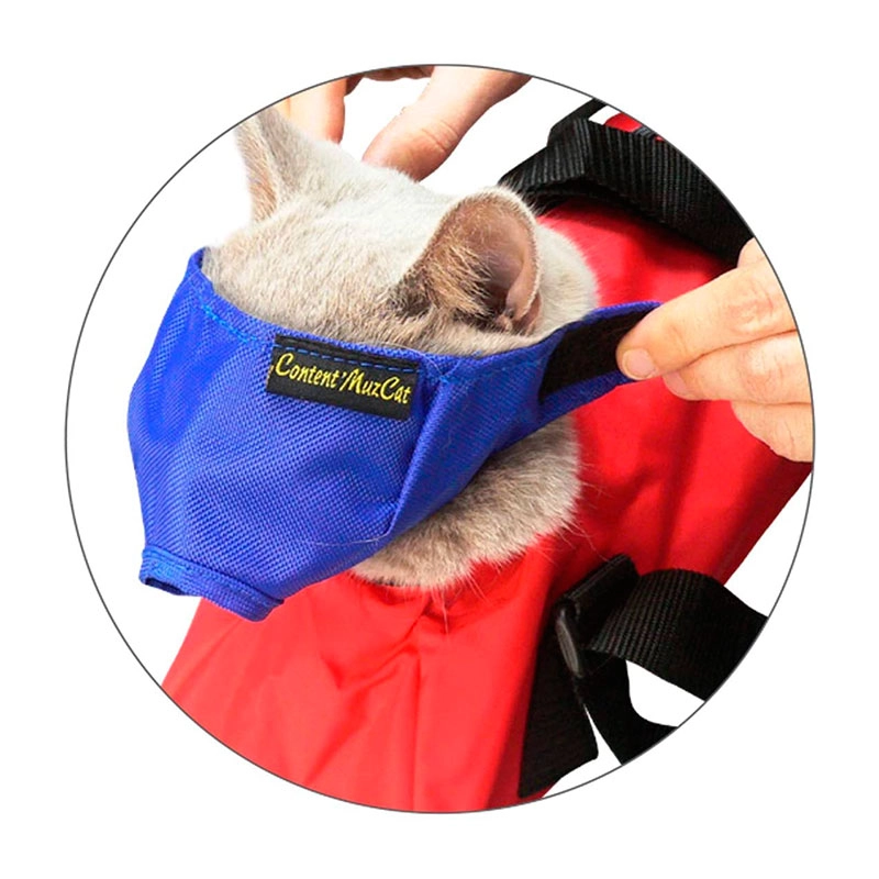 Kruuse Buster Cat Nylon Muzzle Medium Royal Blue