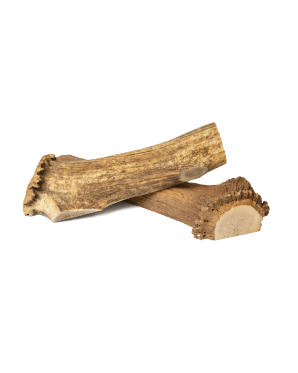 Mast Orazio Butcher Antler Split Medium 51-80g