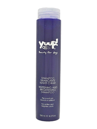 Yuup Whitening Shampoo 250ml