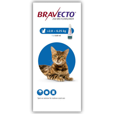 MSD Cat Bravecto 500mg 2.8-6.25kg 1x0.89ml