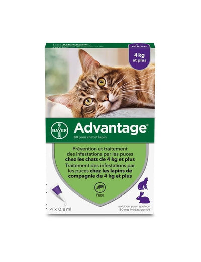 Bayer Cat Advantage 4Kg+ 4x0.8ml