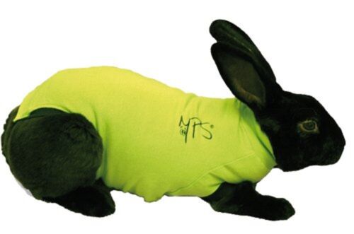 Medical Pet Rabbit Shirt "XXXS"
