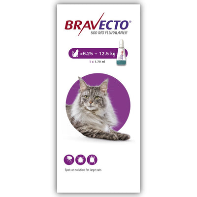 MSD Cat Bravecto 500mg 6.25-12.5kg 1x1,79ml