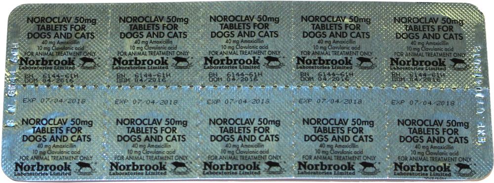 Norbrook Noroclav 50mg 10 tabs