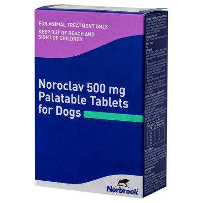 Norbrook Noroclav 500mg 5 tabs