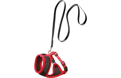 Flamingo Cat Harness Set Black/Red 15mm Large