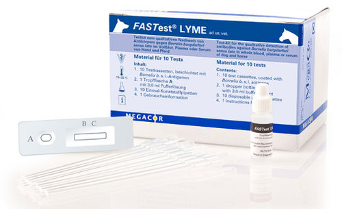 Megacor Lyme Fast Test