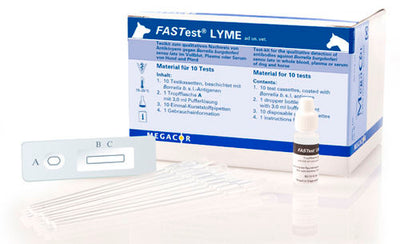 Megacor Lyme Fast Test