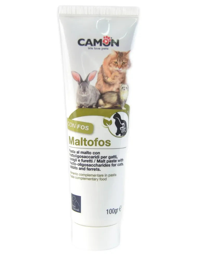 Camon Maltofos Paste 100g