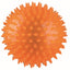 Trixie Hedgehog Ball 12cm