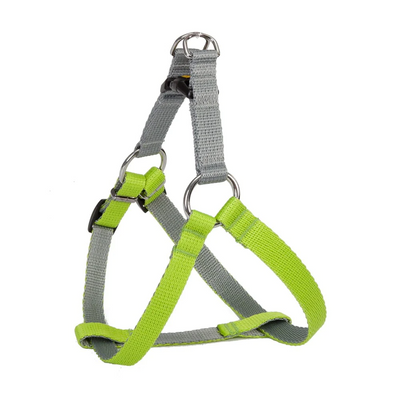Dingo Energy Harness S 85 Green