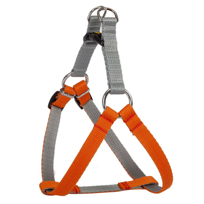 Dingo Energy Harness S 85 Orange