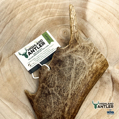 Nova Highland Fallow Antler Large +151g