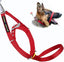 Canny Collar Size 3 Red