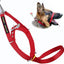 Canny Collar Size 3 Red