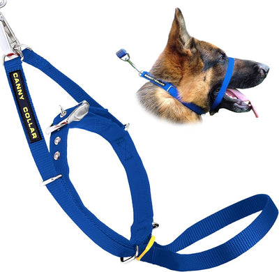 Canny Collar Size 4 Blue