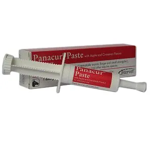 MSD Panacur Paste 187.5mg/g x 1 Syringe