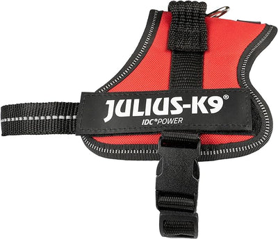 Julius K Powerharness Mini-Mini/S 40-53cm Red