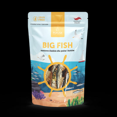 Pokusa Ocean Line Big Fish 40g
