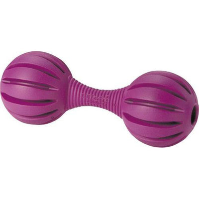 Petsafe Busy Buddy Waggle Small