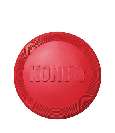 T3 Kong Flyer Large