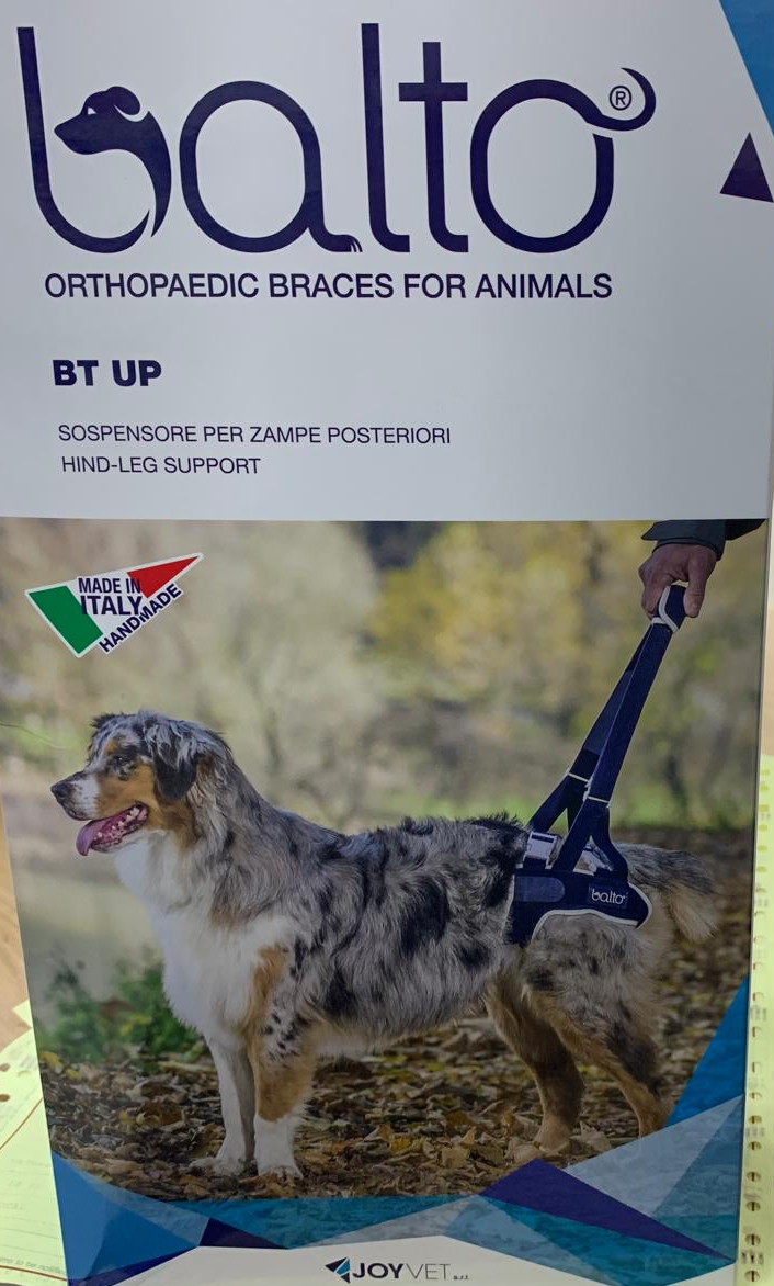 Balto JoyVet Orthopaedic Braces For Animals BT Up Hind-Leg Support For Small Dogs.