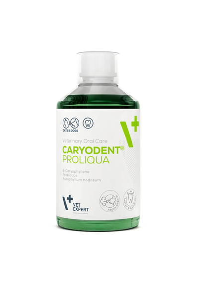Vet Expert Caryodent Proliqua 250ml