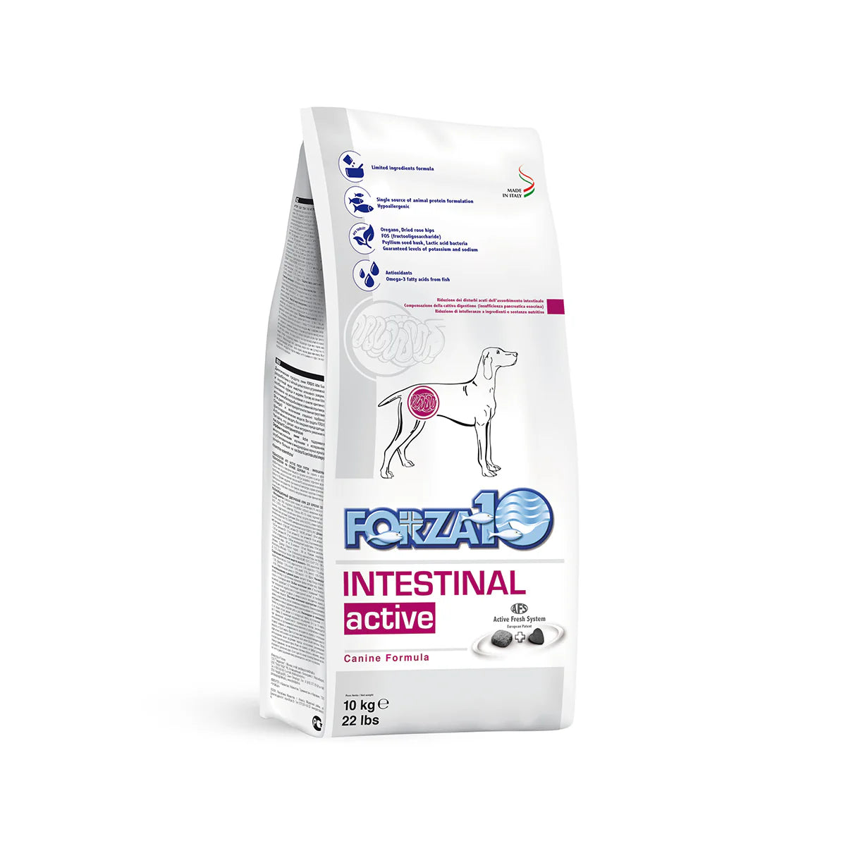 Forza10 Dog Intestinal Active 10Kg
