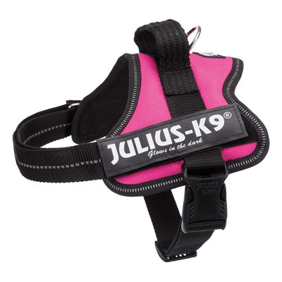 Julius K Powerharness M-L 58-76cm Lilac