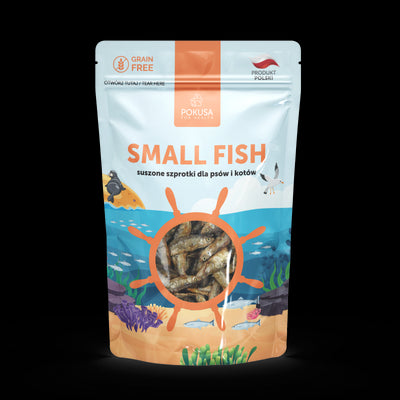 Pokusa Ocean Line Small Fish 40g
