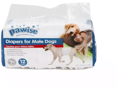 Pawise Disposable Male Wraps M 46cm-60cm x 12pcs