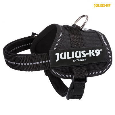Julius K Powerharness Mini-Mini/M 51-67cm Black