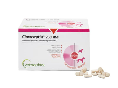Vetoquinol  Clavaseptin 250mg 10tabs
